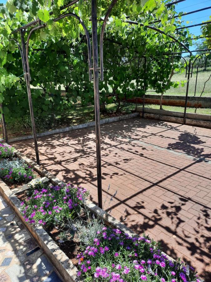 Marinela Apartament Poreč