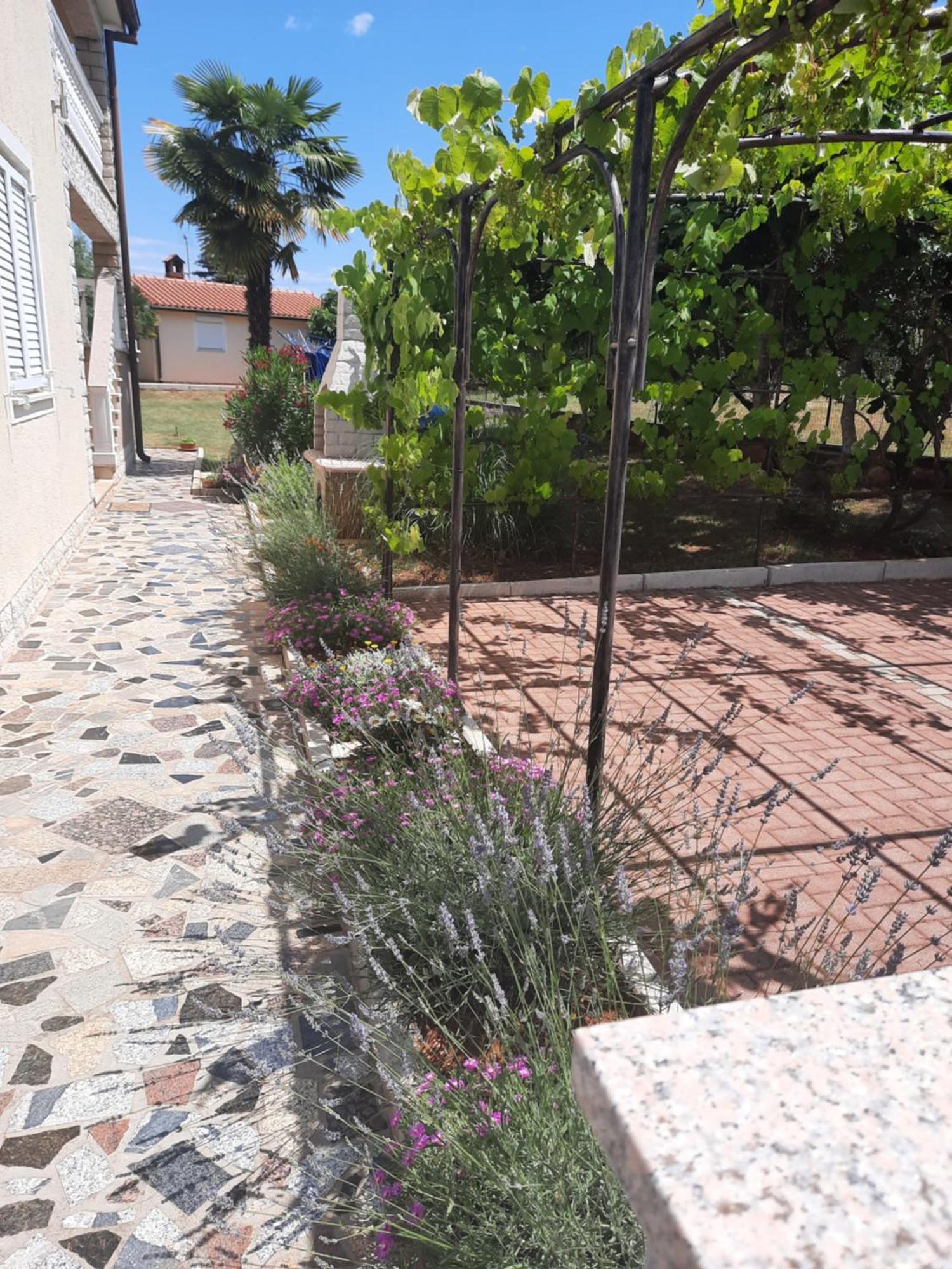 Marinela Apartment Porec